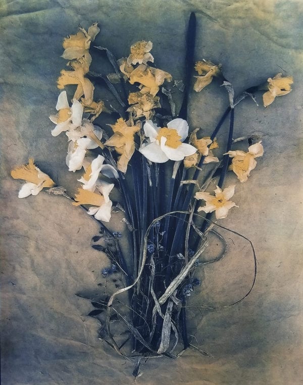 Daffodils and Forget Me Nots, Diana Bloomfield