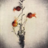 Tri-Color Gum Printing Workshop with Diana Bloomfield_May 7th & 8th, 2022