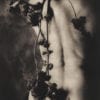 Photopolymer Gravure Workshop_with Karen Hymer_October 13th and 14th, 2024 - Image 5
