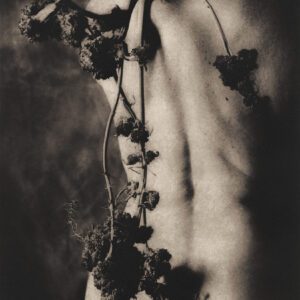 Photopolymer Gravure Workshop with Karen Hymer_May 9th, 2022