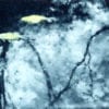 Photopolymer Gravure Workshop_with Karen Hymer_October 13th and 14th, 2024 - Image 8