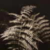 The Beauty of Land and Water: Photopolymer Gravure Workshop with Karen Hymer_September 25th, 2022 - Image 9