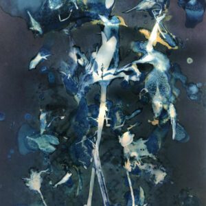 Sun Printing Cyanotype Workshop with Karen Hymer_June 6th, 2021