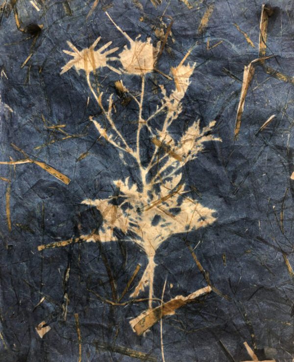 Sun Printing Cyanotype Workshop with Karen Hymer_June 6th, 2021 - Image 4
