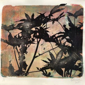 Experimental Printmaking without a Press: Monotype and Image Transfer_October 9, 2021