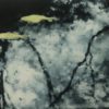 The Beauty of Land and Water: Photopolymer Gravure Workshop with Karen Hymer_September 25th, 2022
