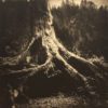 Photopolymer Gravure Workshop_with Karen Hymer_October 13th and 14th, 2024