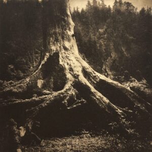 Photopolymer Gravure Workshop_with Karen Hymer_October 12th, 2025