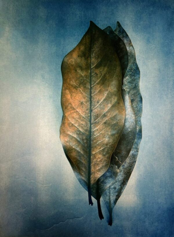 Tri-Color Gum Printing Workshop with Diana Bloomfield_October 26, 27, 28 - Image 7