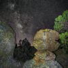 A Slot Canyon Photographic Adventure - Image 4