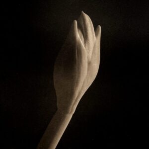 Photopolymer Gravure Workshop_with Karen Hymer_October 11th, 2026